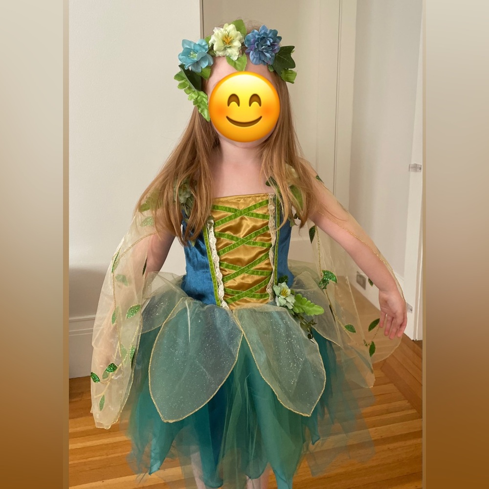 Kids Fairy Costume